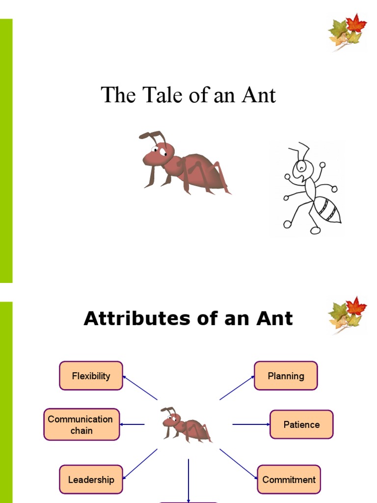Lessons from Ants: Key Attributes for Success | PDF