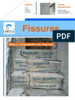 Fissures.pdf