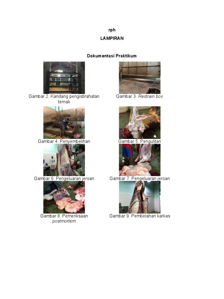 Gambar 2. Kandang Pengistirahatan Ternak Gambar 3. Restrain Box | PDF ...