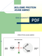 Metabolisme Protein Asam Amino PDF