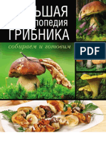 Pecurke Na Ruskom Jeziku PDF