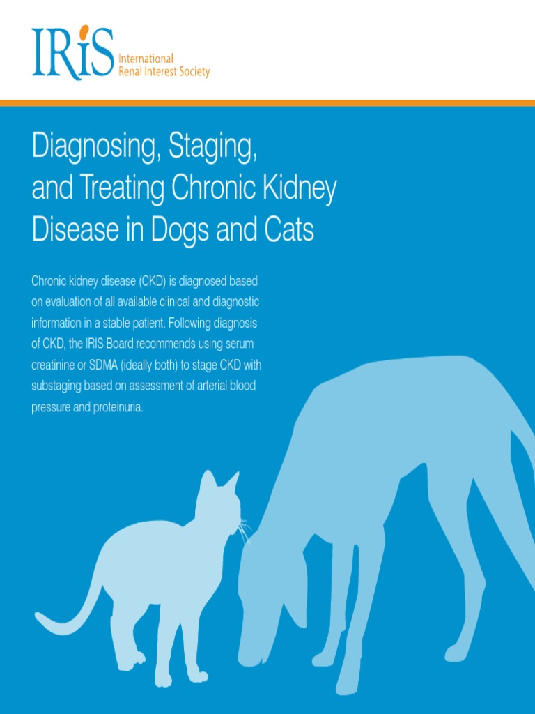 Iris Pocket Guide 2 PDF PDF Chronic Kidney Disease Creatinine