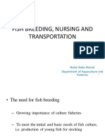Fish Breeding, Nursing and Transportation: Nabin Babu Khanal Department of Aquaculture and Fisheries