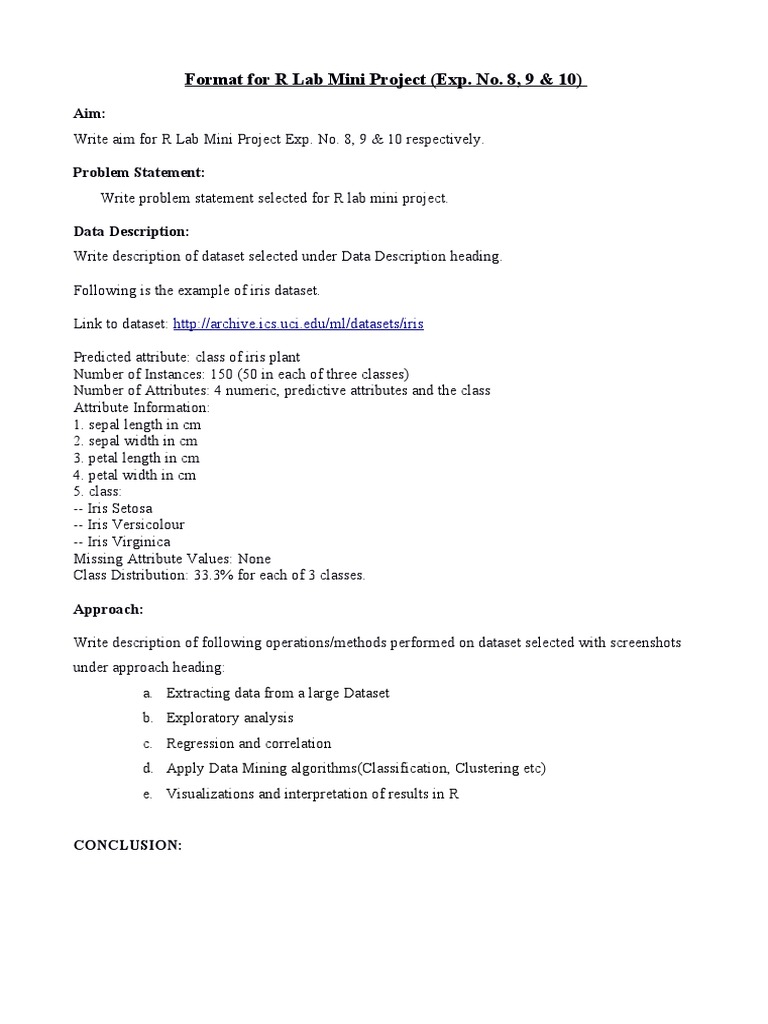 R Lab Mini Project Format Guide | PDF | Technology & Engineering