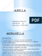 Moraxella: Prepared By: Prem G.M Class Roll No. 30 Exam Roll No.: 227 (5 Sem)