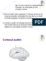 Curs Neuropsihologie 2011-2012 Partea 3