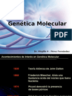 Genetica Molecular
