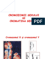 Cromatina Sexuala