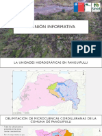 CONAF - Taller PDTI PDF