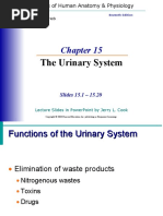 Overview of the Urinary System Anatomy | PDF | Kidney | Urinary System