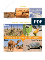 Deserts: Desert Flora and Fauna