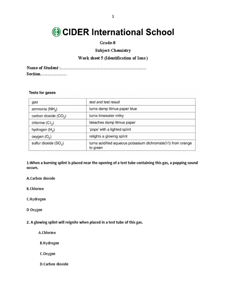 Grade 8 Chemistry Ion Identification Worksheet | PDF | Chlorine | Hydroxide