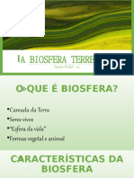 Biosfera Terrestre.pptx