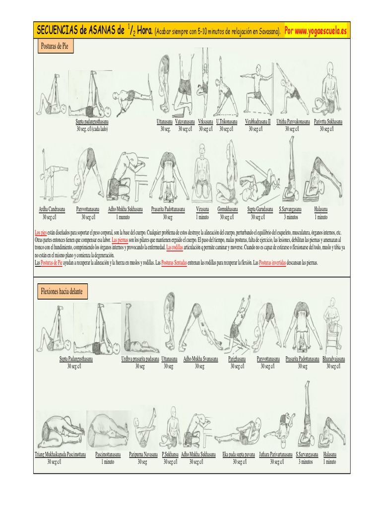 Secuencias de Hatha Yoga en PDF | PDF | Pelvis | Hombro