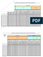 ncc-instrumentales-y-por-niveles-2-4.pdf