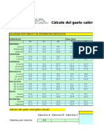 431 CalculoGastoEnergético