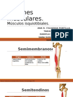 Lesiones-musculares.pptx