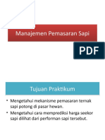 Manajemen Pemasaran Sapi