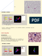 HEMATOLOGIA