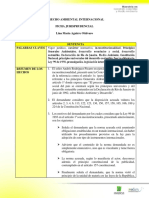 Derecho ambiental internacional: Declaración de Río de Janeiro