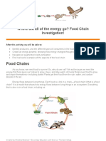 Ar Food Chain Investigation