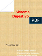 El Sistema digestivo final.pptx