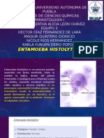 Entamoeba histolytica: ciclo de vida, patologías y prevención