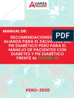 Manual Alpie Perú 2020 PDF