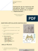 diagnóstico trastorno dolor anillo pélvico parte 1