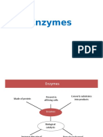 (AD) Enzyme 1