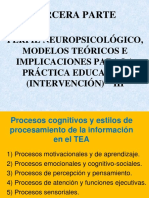 TEA 3 Perfil neuropsicologico e Intervencion Percepcion y Pens