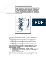 3° Año Biología Unidad #1 Los Ácidos Nucleicos