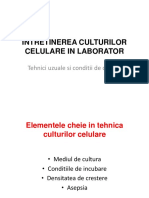 Intretinerea culturii celulare in laborator