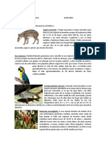 Redes Troficas PDF
