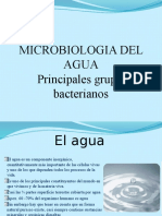 Microbioogia Del Agua