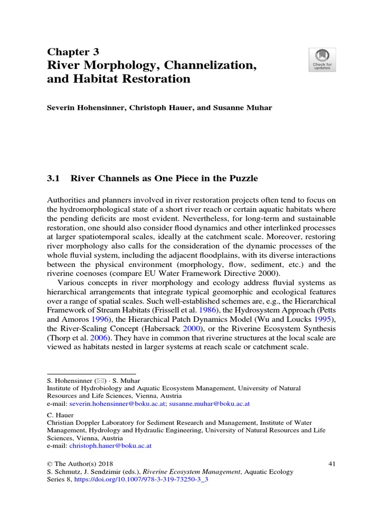 River Morphology Channelization and Habitat Restor PDF | PDF | River ...