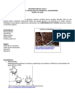 Segunda Parte Parcial