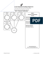 Sanjeevini Combination Sheet For SSC 3 Anaemia