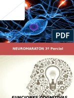 10-Funciones Cognitivas Superiores 2