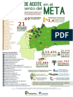 InfografiaPalma Meta 2020