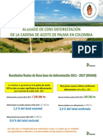 Línea Base Acuerdo Cero Deforestación - Palma