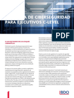 ADV_2020-Ciberseguridad-guia-para-Ejecutivos-C-Level (1).pdf