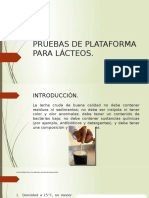 PRUEBAS DE PLATAFORMA