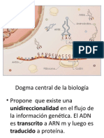 Ppt. Biologia Sintesis de Proteinas 10-05-2018