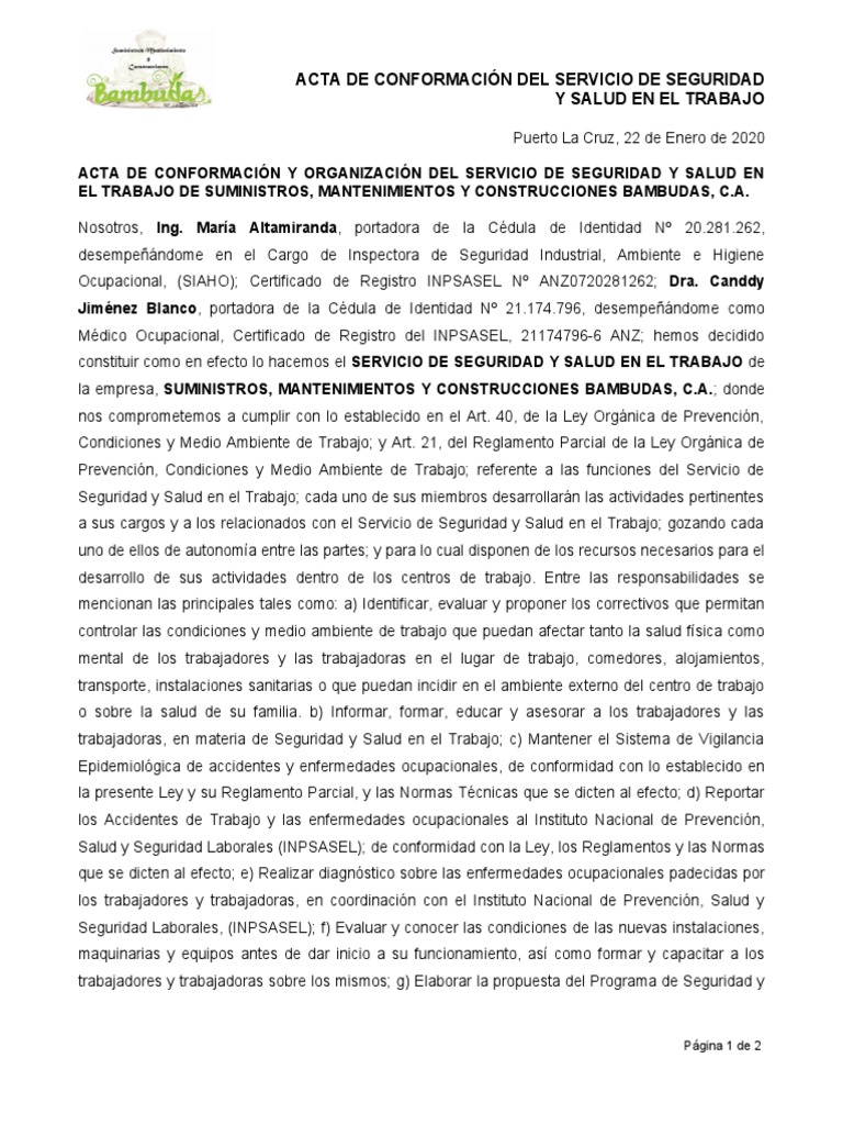 Acta Constitutiva Del Servicio de Seguridad y Salud en El Trabajo | PDF ...