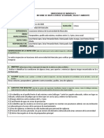 Modelo Informe de Inspección - Formato Original