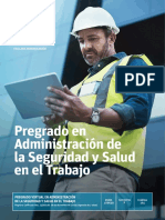 FUNIR-PG-admin-seguridad-trabajo.pdf