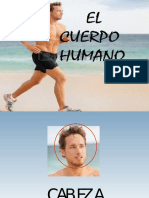 Cuerpo Humano