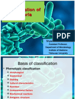 Classification of Bacteria