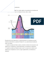 Potencial de Acción